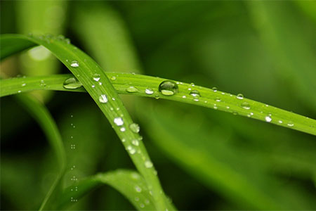 醉客网 · 免责声明-醉客YUNYI