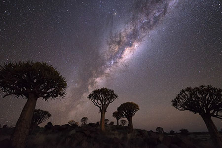 醉客网 · 免责声明-醉客YUNYI