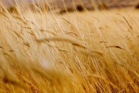 醉客网 · 免责声明-醉客YUNYI