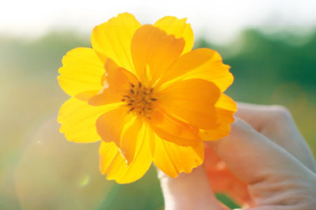 醉客网 · 免责声明-醉客YUNYI