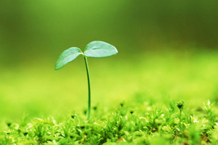 醉客网 · 免责声明-醉客YUNYI