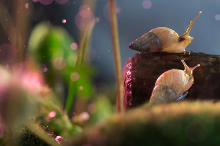 醉客网 · 免责声明-醉客YUNYI